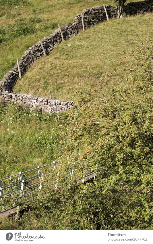 The way is the goal? Environment Nature Landscape Grass Bushes Meadow Hill Great Britain Lanes & trails Bridge Simple Green Intersection Wall (barrier) Pasture