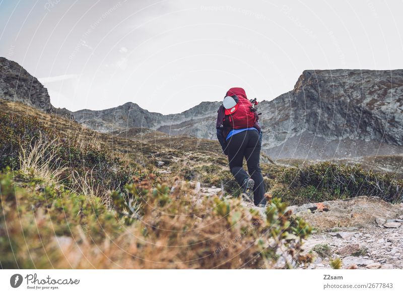 Young woman climbing to the summit | Alpine crossing Leisure and hobbies Vacation & Travel Mountain Hiking Youth (Young adults) 18 - 30 years Adults Nature