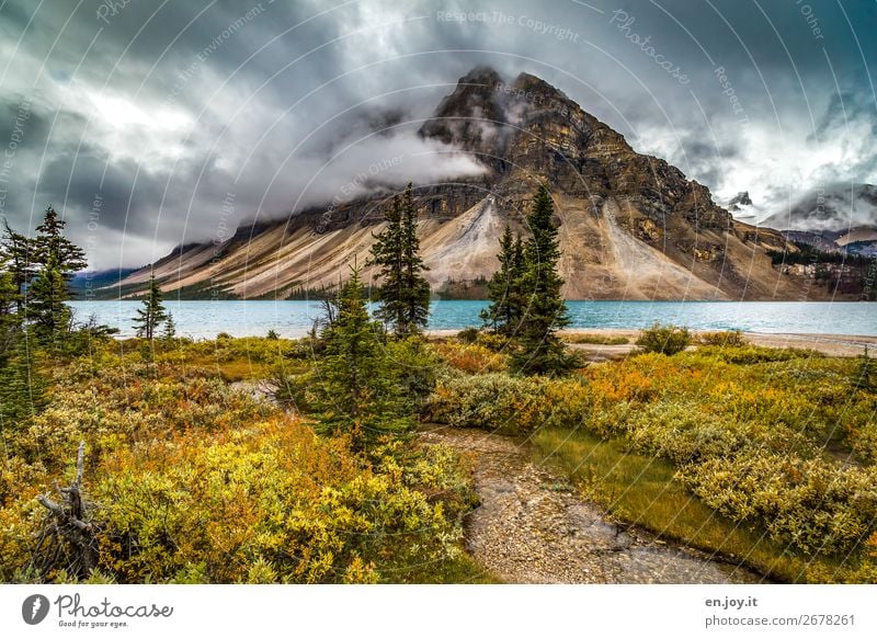 Autumn at Mount Crowfoot Vacation & Travel Trip Mountain Environment Nature Landscape Clouds Climate Climate change Weather Bushes Fir tree Coniferous trees