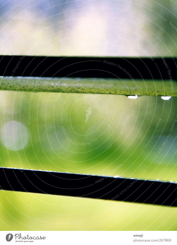 April weather Environment Nature Drops of water Spring Summer Climate Climate change Weather Beautiful weather Rain Garden Natural Green Venetian blinds