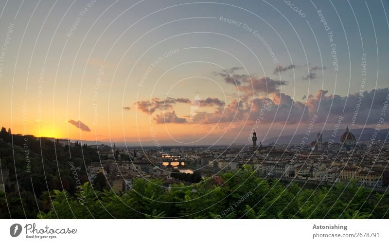 and away... Environment Nature Landscape Sky Clouds Horizon Sun Sunrise Sunset Sunlight Weather Plant Tree Leaf River Arno Florence Italy Town Downtown