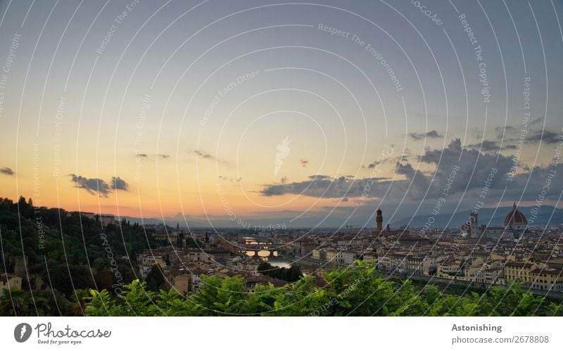 Florence after sunset Nature Landscape Sky Clouds Horizon Sun Sunrise Sunset Sunlight Weather Beautiful weather Plant Tree Leaf River Arno Italy Town Downtown