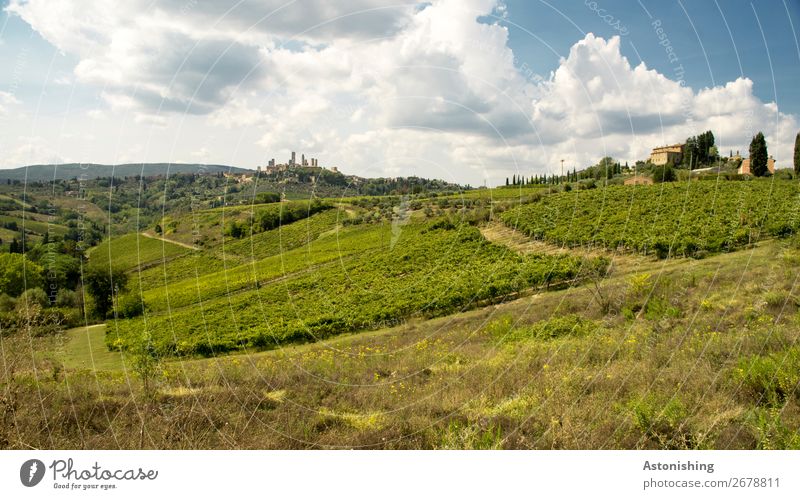 View of San Gimignano Environment Nature Landscape Sky Clouds Weather Plant Grass Bushes Field Forest Hill Mountain Siena Tuscany Italy Small Town