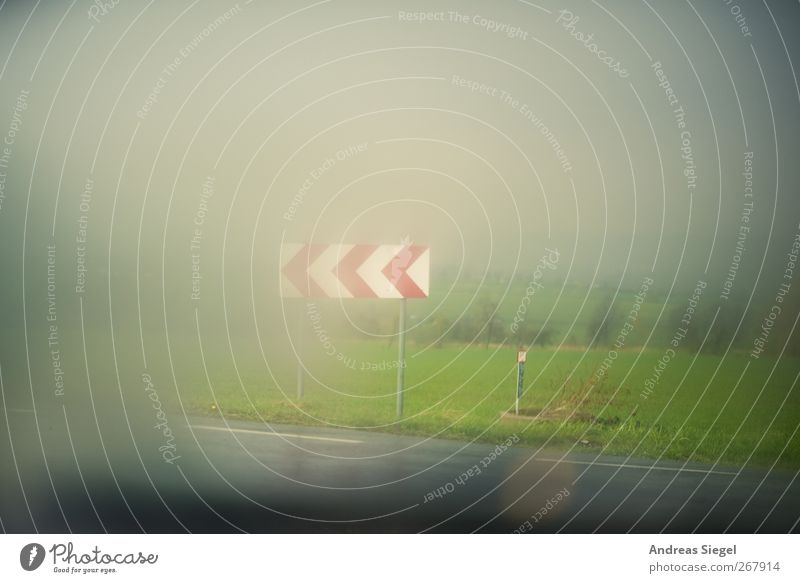 Don't know where you go Environment Nature Landscape Spring Bad weather Storm Fog Rain Meadow Field Transport Traffic infrastructure Street Crossroads