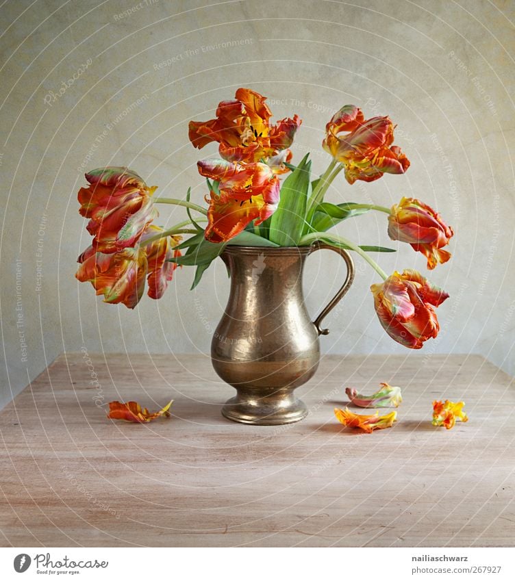 Still Life with Tulips Art Nature Plant Spring Flower Blossom Bouquet Vase Wood Metal Esthetic Brown Green Red Time Limp Faded Colour photo Multicoloured