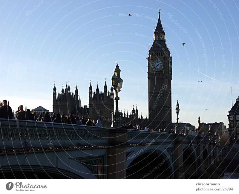 Big Ben II London Themse Bird Bridge Tower Houses of Parliament parliament