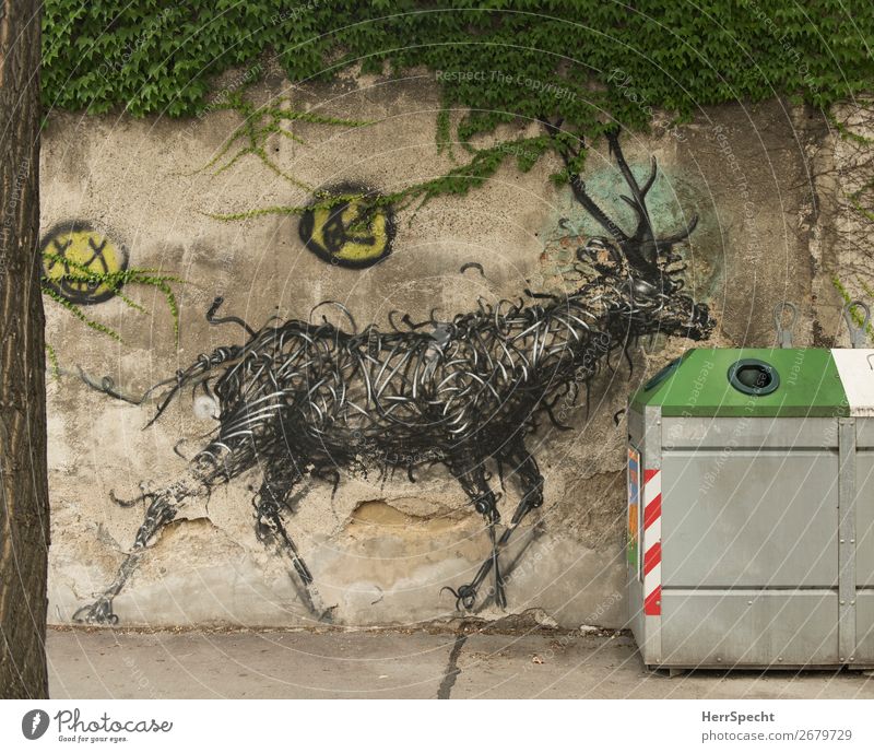 inquisitorial Town Wall (barrier) Wall (building) Metal Graffiti Esthetic Exceptional Gray Green Recycling container Glass bin Deer Art Artistically talented