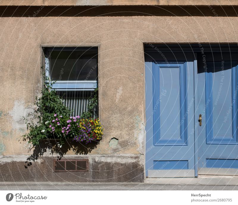 window garden Village Small Town Manmade structures Building Wall (barrier) Wall (building) Garden Window Door Esthetic Exceptional Friendliness Cute Retro Blue