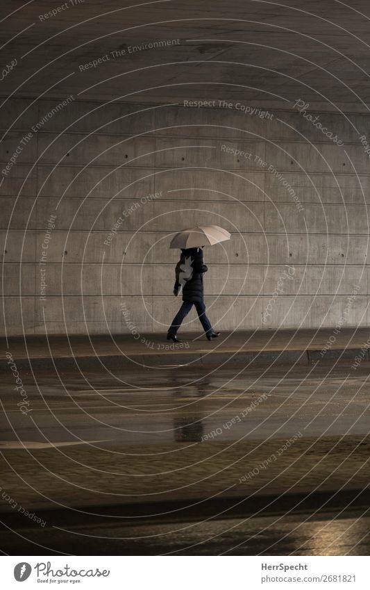 Indoor rain Human being Adults Body 1 Bad weather Rain Town Manmade structures Wall (barrier) Wall (building) Concrete Funny Gray Umbrella Going Pedestrian