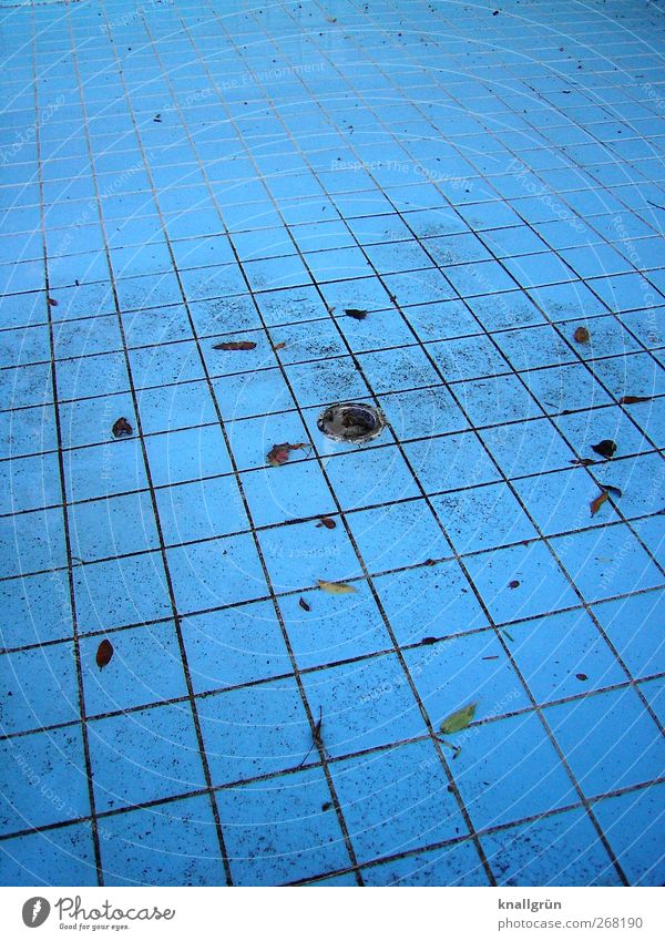 Swimming pool season! Swimming & Bathing Sporting Complex Dirty Sharp-edged Blue Tile Drainage Open-air swimming pool Colour photo Exterior shot Deserted