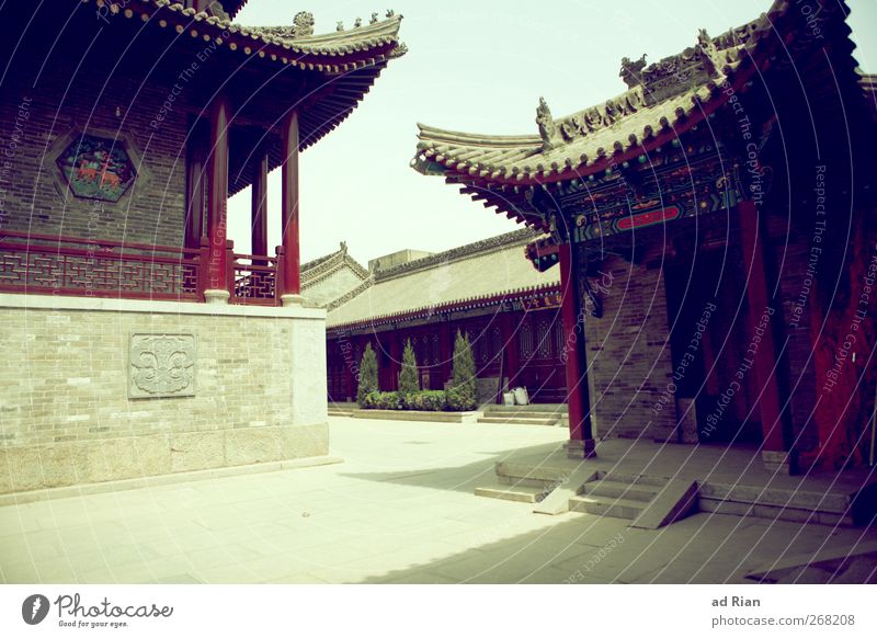 silent Bushes Ivy Park Xian China Old town Deserted House (Residential Structure) Places Architecture Temple Facade Roof Authentic Sharp-edged Town Historic