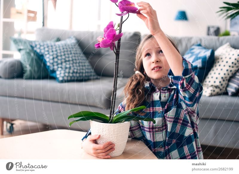 happy kid girl with orchid flower in pot. Pot Lifestyle Exotic Beautiful Child Gardening Plant Flower Orchid Leaf Growth Small Pink Pure caring Houseplant Home
