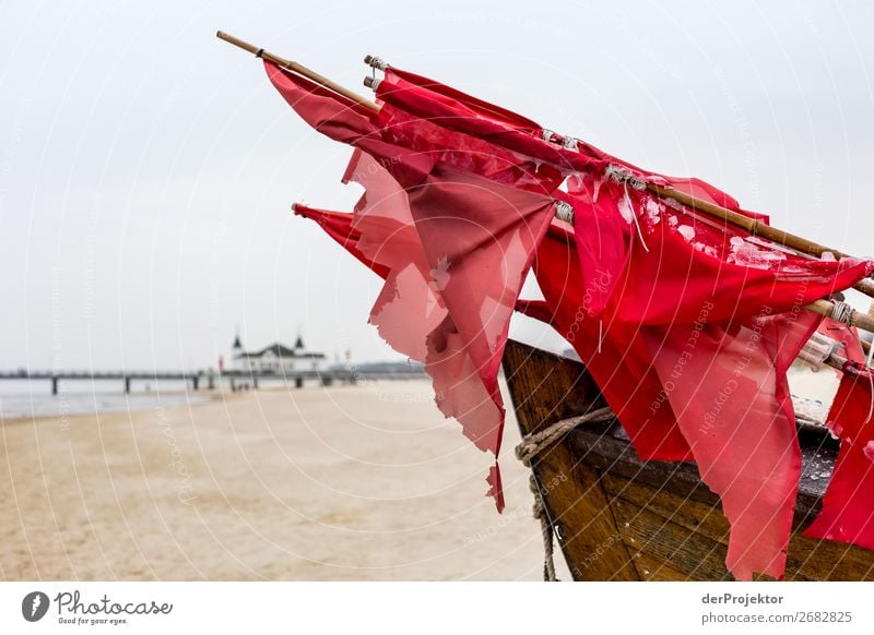 Fishing boat with pier Ahlbeck Vacation & Travel Tourism Trip Adventure Far-off places Freedom Environment Nature Landscape Winter Bad weather Coast Baltic Sea