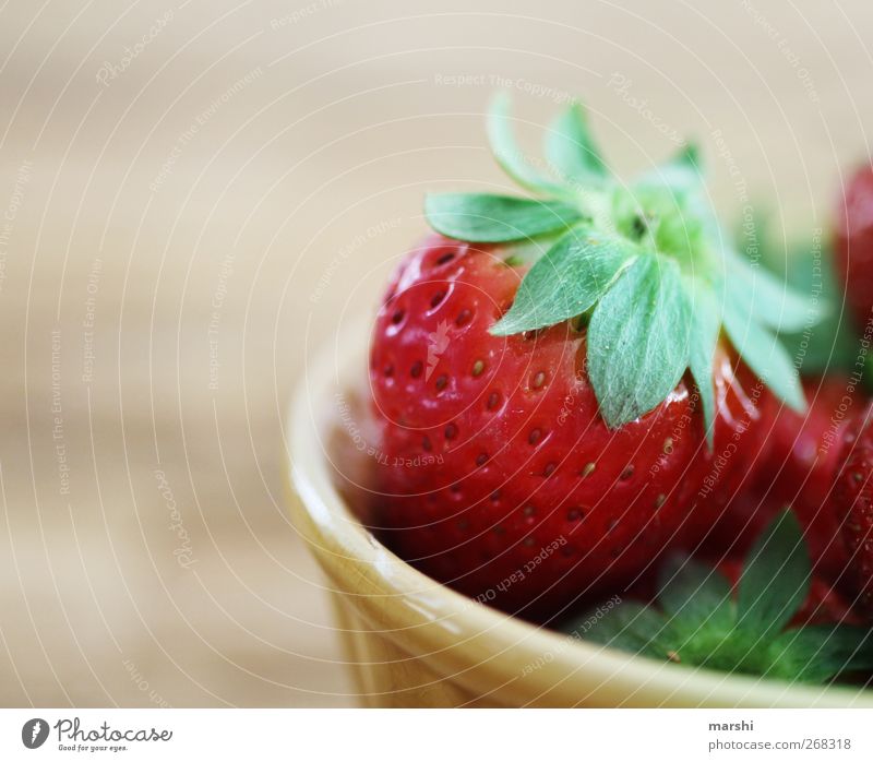 strawberry day Food Fruit Nutrition Green Red Strawberry Fruity Delicious Juicy Fitness Tasty Flavorsome Appetite Healthy Eating Colour photo Interior shot