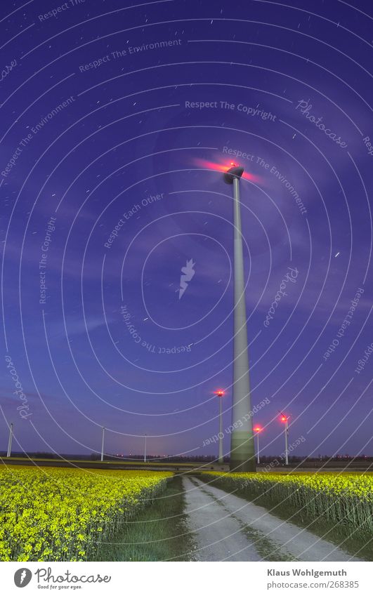 Rape blossom in the moonlight. Under the starry sky, windmills stand in blooming rapeseed fields.the air is filled with heavy fragrance. Technology Advancement