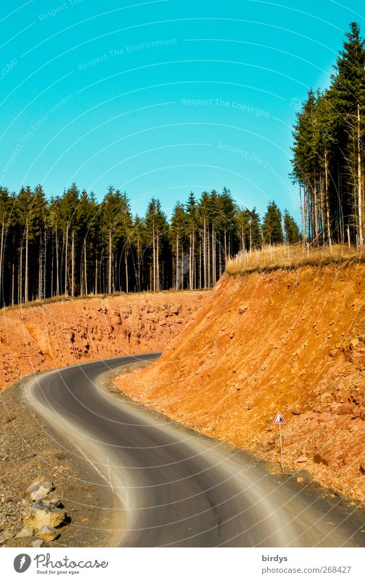 street canyon Earth Sky Cloudless sky Spring Summer Autumn Beautiful weather Forest Rock Canyon Street Road sign Illuminate Gigantic Blue Yellow Green Colour