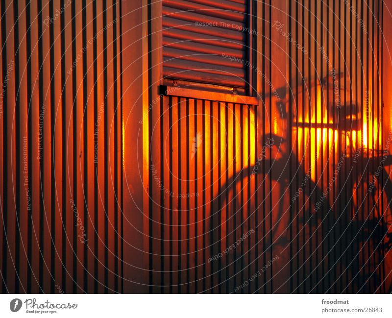 bicycle Bicycle Sunset Venetian blinds Stripe Window Bronze Silhouette Closed Facade Tin In transit Movement Environmental protection Cute Summer Vertical