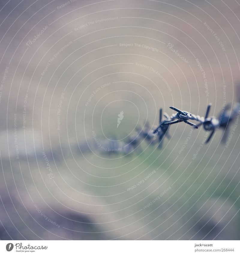 overcoming Barbed wire fence Metal Thin Sharp-edged Bright Long Point Perspective Safety Wire Tension Border Subdued colour Detail Abstract Neutral Background