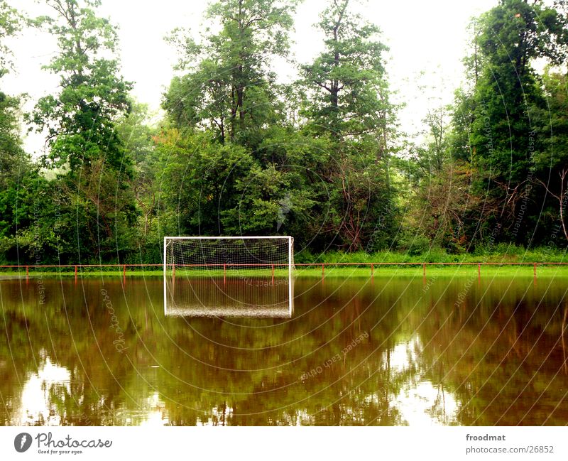 the game is probably flooded Reflection Tree Calm Flood Sports Soccer Gate Deluge Water Handrail Smoothness Transparent Rhine