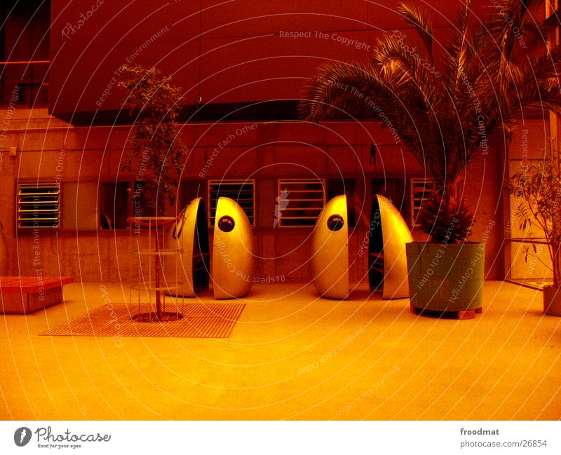 Film capsules in orange and with palm tree Potsdam Palm tree Futurism Obscure HFF Academy for Film and Television Egg Orange filtered strange film consumption
