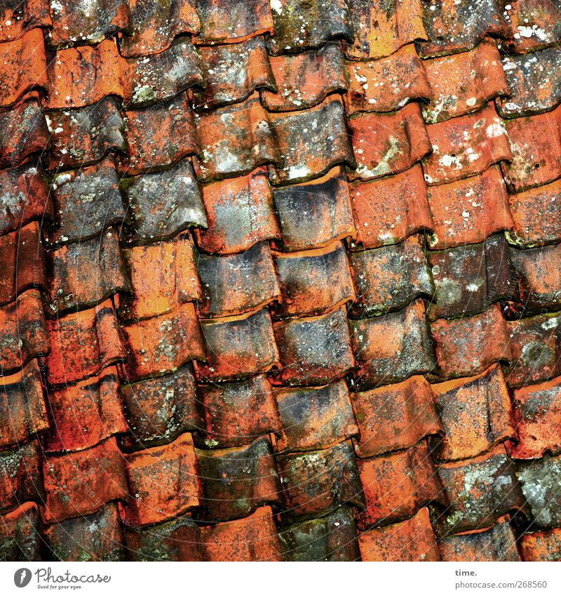 Stable lateral position House (Residential Structure) Roof Roofing tile Old Sharp-edged Esthetic Arrangement Decompose Craft (trade) Roofer Colour photo