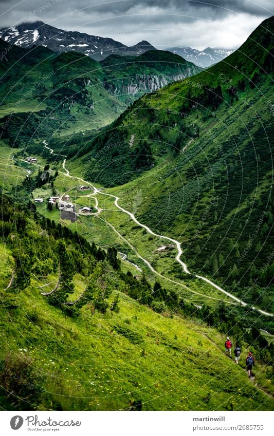Descent to Pustertal / South Tyrol Mountain Hiking Climbing Mountaineering Nature Landscape Meadow Rock Alps Peak Valley Footpath Tall Green Lanes & trails