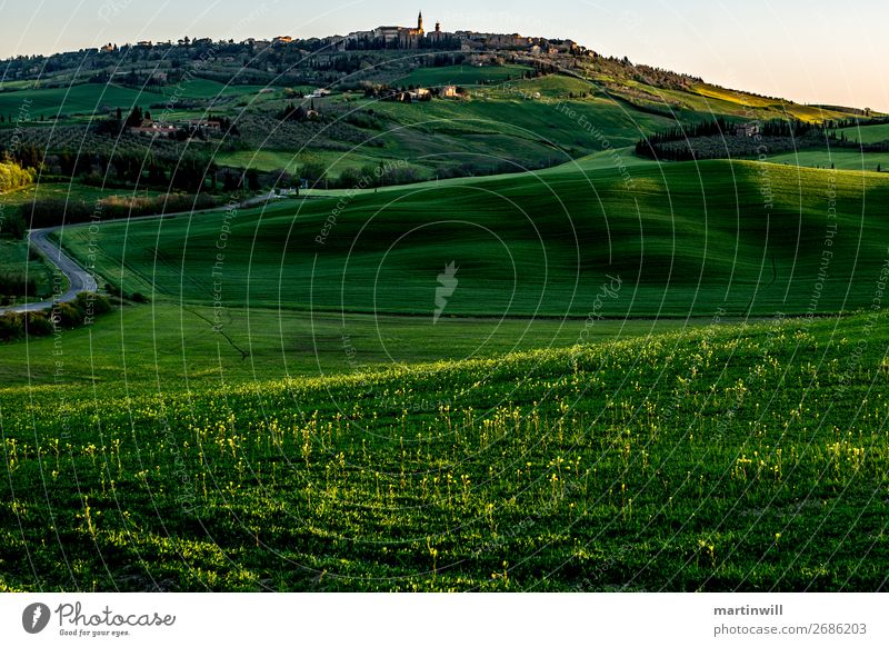 Pienza in the morning light Vacation & Travel Landscape Spring Grass Hill Tuscany Val d'Orcia Village Deserted Street Calm Lanes & trails Shadow Shadow play