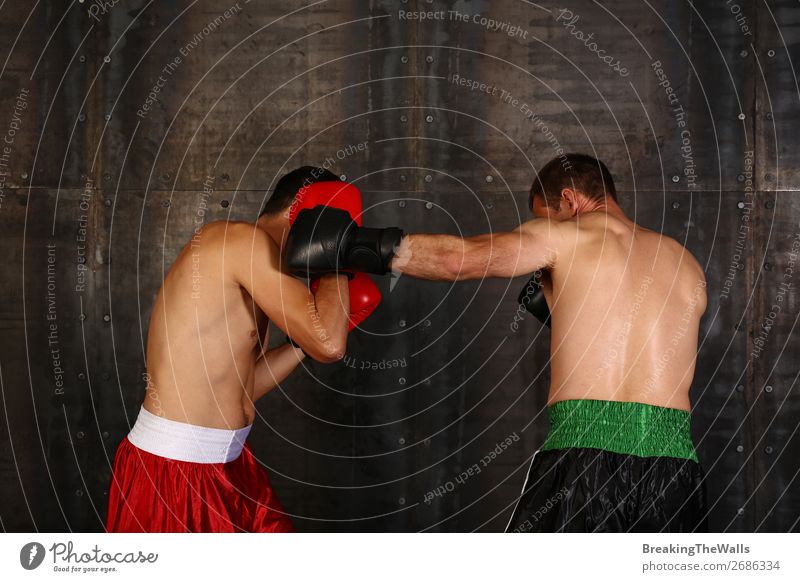 Two boxer men boxing in gloves Sports Martial arts Sportsperson Success Loser Sporting event Masculine Man Adults 2 Human being Muscular Strong Red Black Power