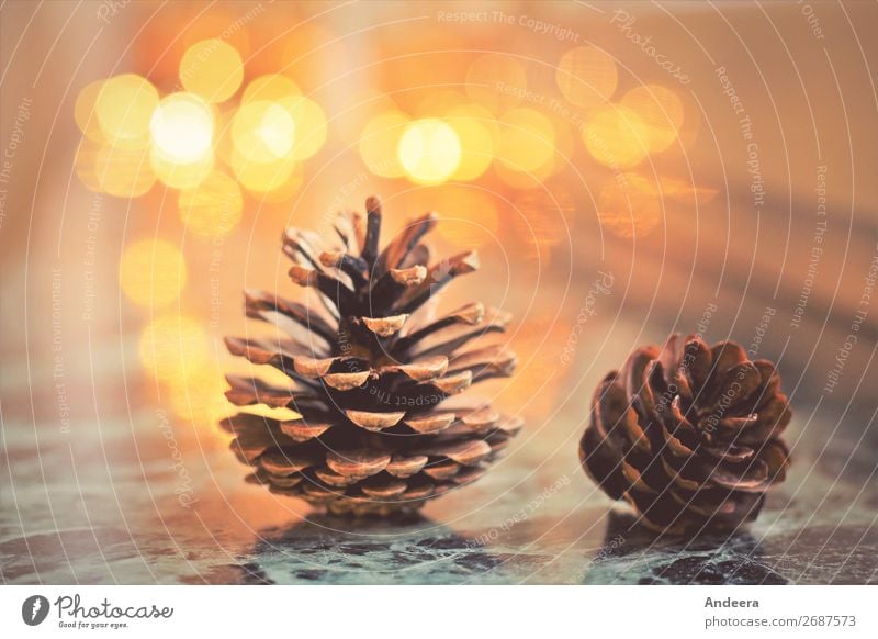 Christmas decoration with fir cones and lights on a smooth surface with Bokeh Winter Flat (apartment) Christmas & Advent Fir cone Decoration wood Illuminate