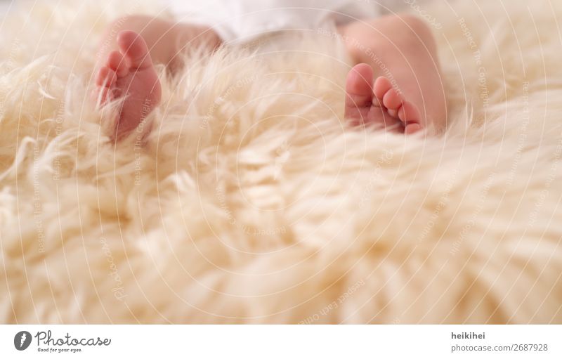 Baby Feet Feminine Baby A Royalty Free Stock Photo From Photocase