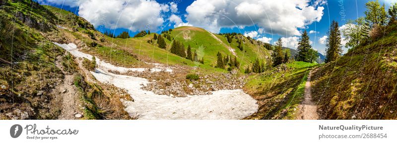 Panorama - Footpath - Oberjoch - Allgaeu - Bavaria - Germany Vacation & Travel Summer Environment Nature Meadow Forest Alps Mountain Peak Canyon Diet Observe