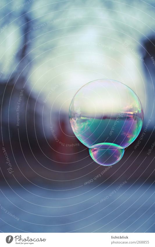 The world in a bubble Horizon Lake Thin Glittering Infinity Cold Round Blue Soap bubble Fragile Hover Colour photo Exterior shot Detail Deserted Day Reflection