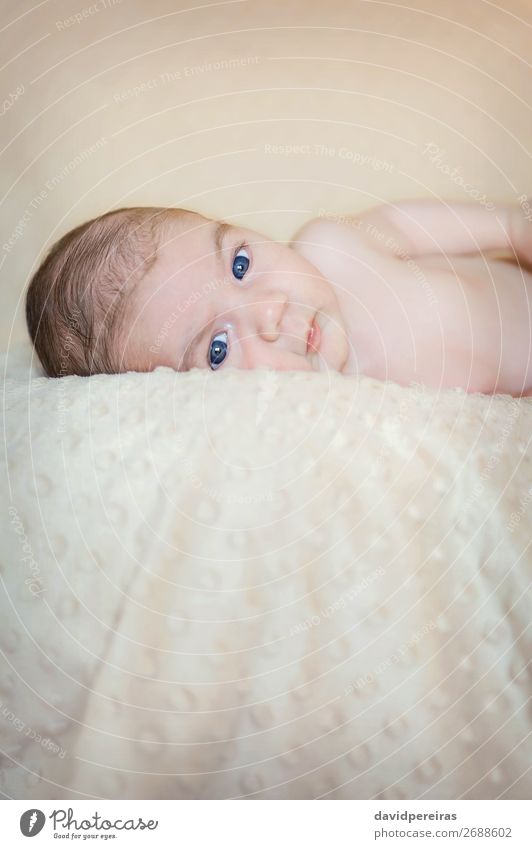Portrait of newborn baby lying down over a blanket Lifestyle Happy Beautiful Body Skin Face Relaxation Child Human being Baby Boy (child) Infancy Love Sleep