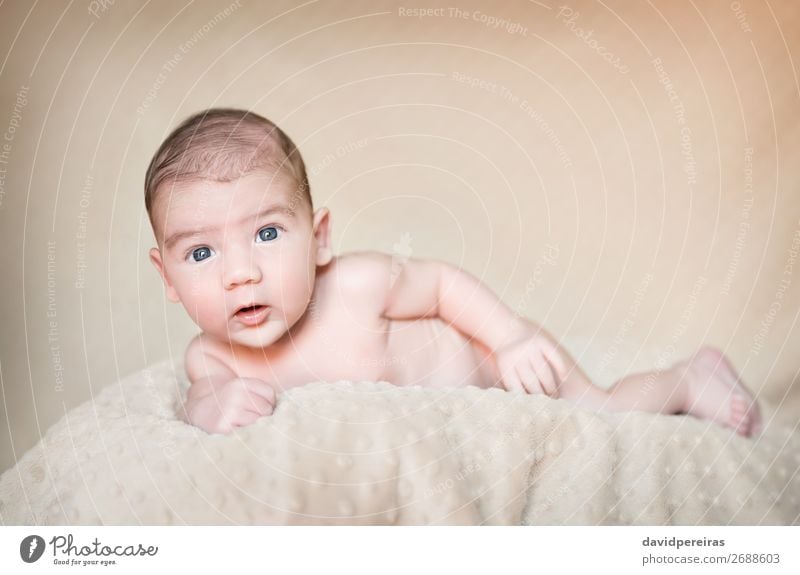 Portrait of newborn baby lying down over a blanket Lifestyle Happy Beautiful Body Skin Face Relaxation Child Human being Baby Boy (child) Infancy Love Sleep