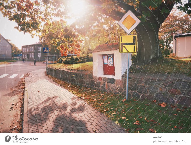 navigation device Human being Autumn Tree Grass Poland Village Populated House (Residential Structure) Transport Traffic infrastructure Street Crossroads
