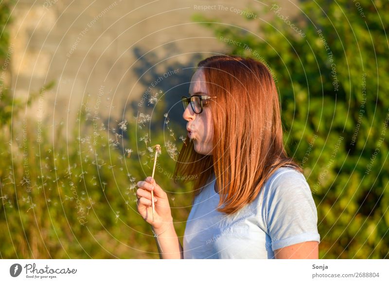 Young woman with a dandelion Lifestyle Summer Human being Feminine Youth (Young adults) 1 18 - 30 years Adults T-shirt Red-haired Long-haired Dandelion