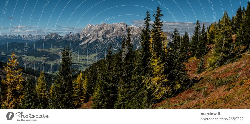 Dachstein from Opposite Life Vacation & Travel Tourism Trip Far-off places Freedom Mountain Hiking Nature Landscape Autumn Forest Rock Alps Peak Austria