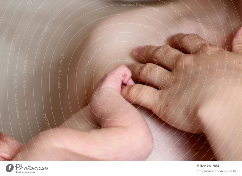 small hand and big hand II Human being Feminine Child Baby Parents Adults Mother Family & Relations Infancy Arm Hand 2 0 - 12 months Happy Emotions
