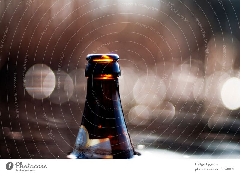 cool down Joy Leisure and hobbies Brown Red Relaxation Allegory Beer Colour photo Exterior shot Close-up Deserted Shallow depth of field