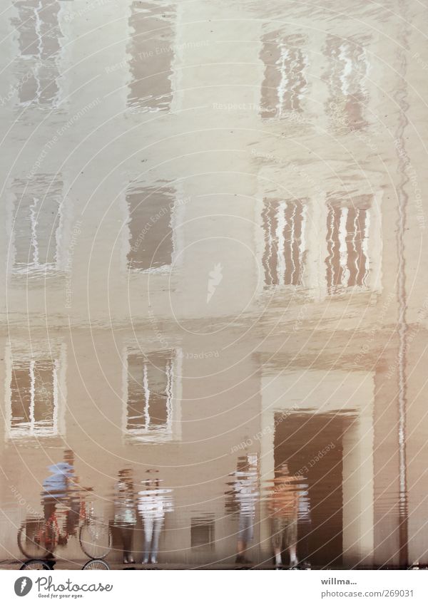 When reality becomes blurred - floods in the city Flood Deluge Group Water House (Residential Structure) Building Facade Window Puddle Reflection Discern