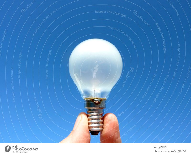 there will be light... Fingers Electric bulb Glass Illuminate Bright Round White Power Light Energy Save energy Idea Colour photo Exterior shot Close-up Day