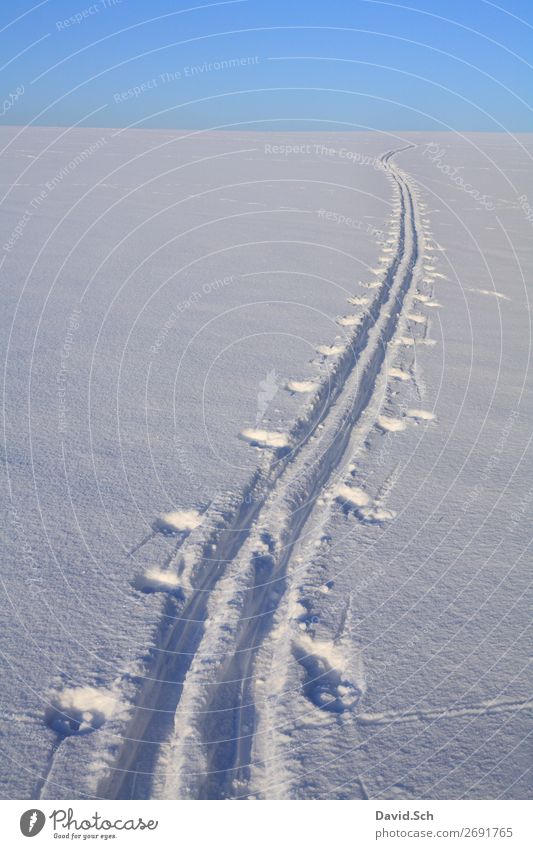 Ski track in the snow Winter Snow Winter vacation Sports Fitness Sports Training Winter sports Skiing Nature Landscape Sky Movement To enjoy Infinity Blue White