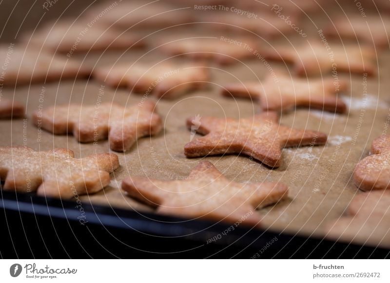 Homemade cookies in the oven. Food Dough Baked goods Candy Nutrition Healthy Eating Feasts & Celebrations Christmas & Advent Fairs & Carnivals Cook Kitchen