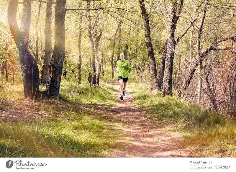 Senior Man Running in the Forest Lifestyle Happy Leisure and hobbies Summer Sports Jogging Human being Adults Nature Tree Park Old Fitness Green 60s Action