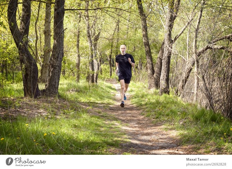 Senior Man Running in the Forest Lifestyle Happy Leisure and hobbies Summer Sports Jogging Human being Adults Nature Park Old Fitness Black 60s Action Caucasian