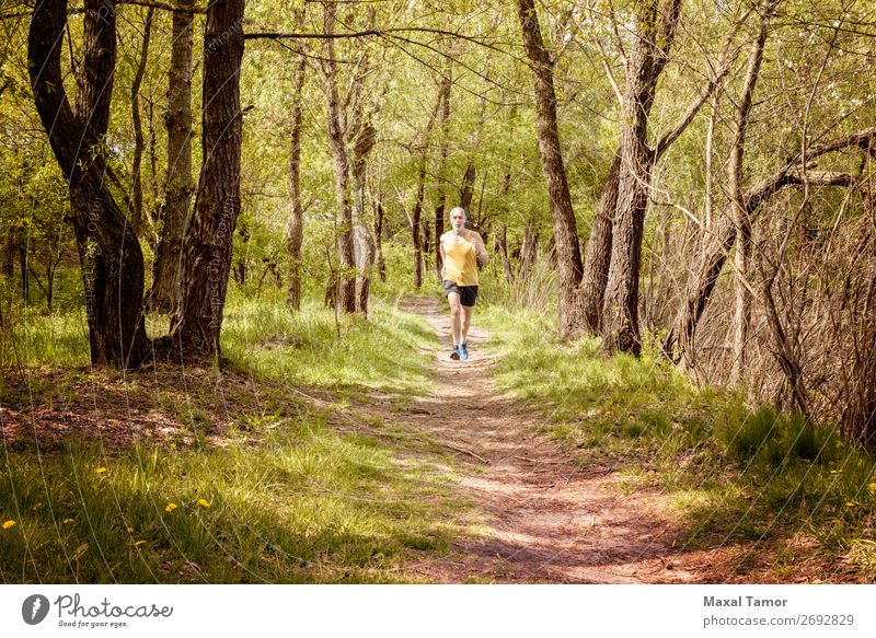 Senior Man Running in the Forest Lifestyle Happy Leisure and hobbies Summer Sports Jogging Human being Adults Nature Tree Park Old Fitness Yellow 60s Action