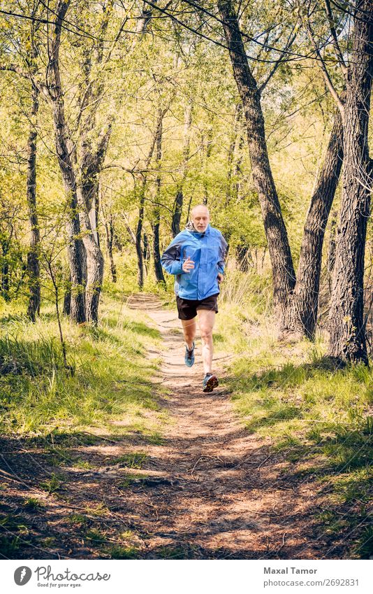 Senior Man Running in the Forest Lifestyle Happy Leisure and hobbies Summer Sports Jogging Human being Adults Nature Tree Park Old Fitness Blue 60s Action