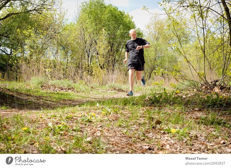 Senior Man Running in the Forest Lifestyle Happy Leisure and hobbies Summer Sports Jogging Human being Adults Nature Park Old Observe Fitness 60s Action