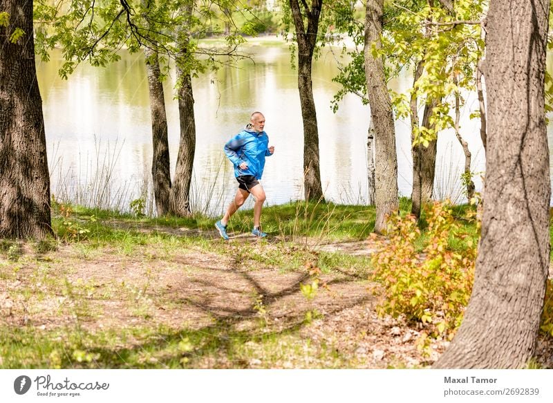 Senior Man Running in the Forest Lifestyle Happy Leisure and hobbies Summer Sports Jogging Human being Adults Nature Park Lake River Old Fitness 60s Action