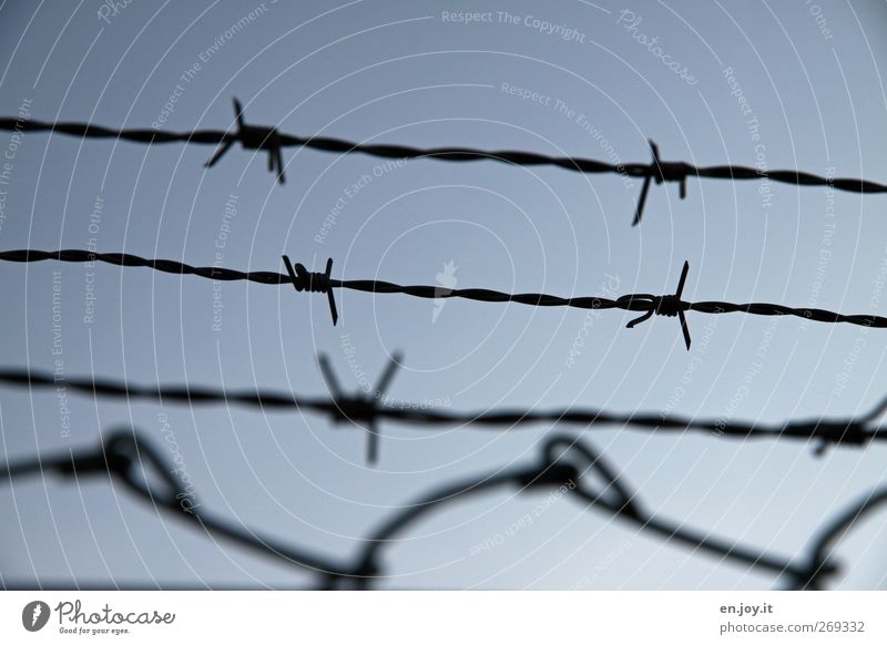 Spiked.wire.fence Fence Steel Sadness Aggression Threat Point Thorny Gloomy Blue Black Safety Protection Homesickness Loneliness Inhibition Fear Fear of death